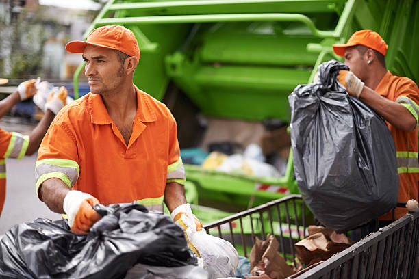 Best Carpet Removal and Disposal  in Pirtleville, AZ